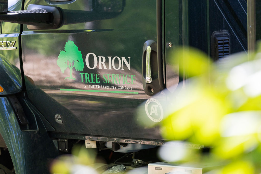 Orion Tree Service branded work truck photographed on location